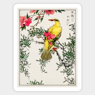 Chinese Bush-warbler and Drooping Peach old Japanese woodblock print Sticker